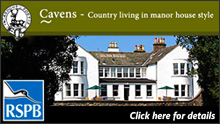 Special Offers at Cavens