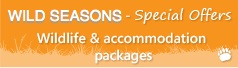 Wildlife and accommodation special offers